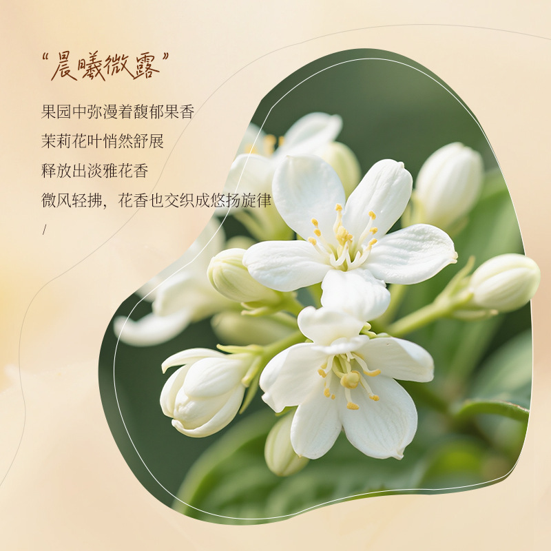 แชมพูน้ำมันหอมกลิ่นโกโก้ ผสมกร - Perfume Fragrance Shampoo บทวิจารณ์และราคา
